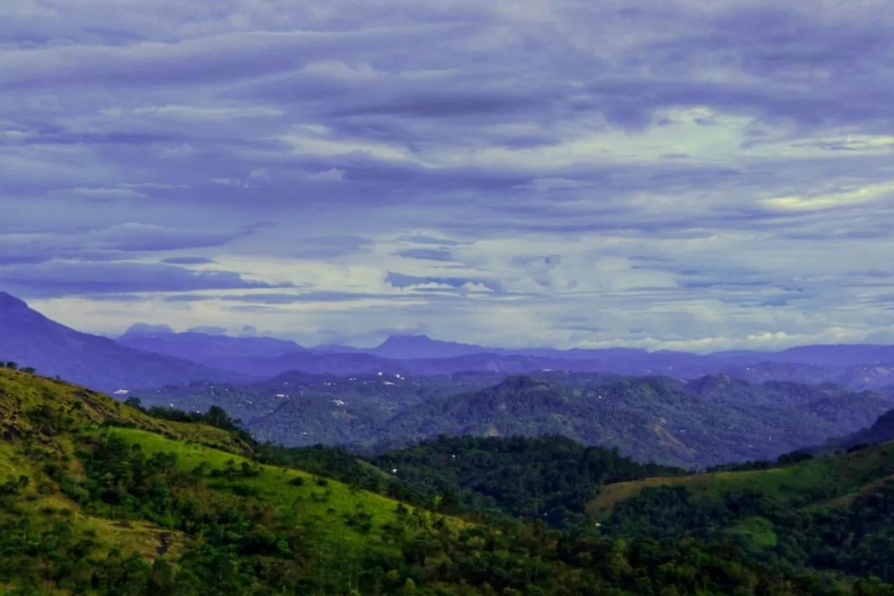 Wild Mist Homestay Munnar Indien